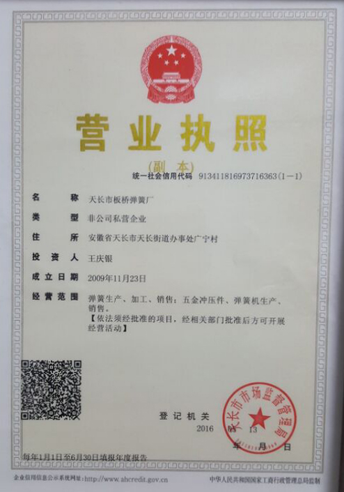 企业营业执照